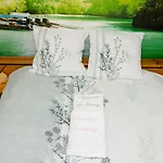 Bed & Breakfast D'hotes Au Coeur De Nancyb&b Proche Gare De