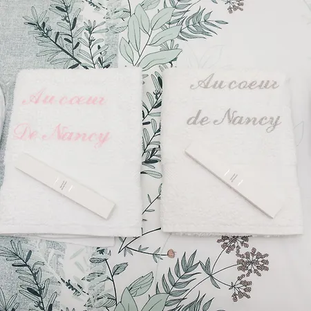 D'hotes Au Coeur De Nancyb&b Proche Gare De