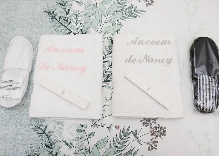 D'hotes Au Coeur De Nancyb&b Proche Gare De